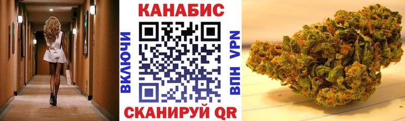 Где купить наркотики Венёв Каннабис  Меф  A PVP  Псилоцибиновые грибы  Гашиш 