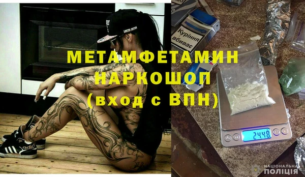 гидра Богородск