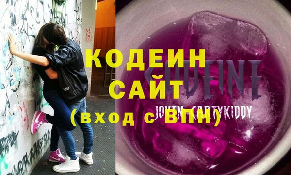 гидра Богородск
