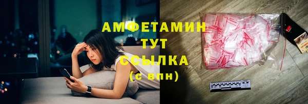 гидра Богородск