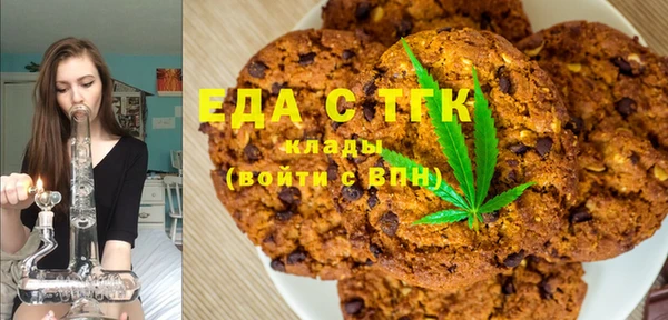 гидра Богородск