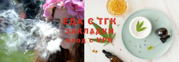 гидра Богородск