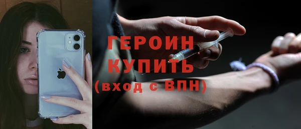 гидра Богородск