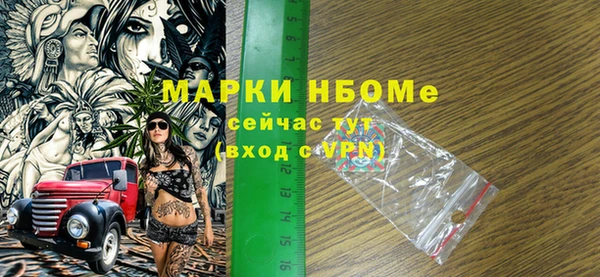 гидра Богородск