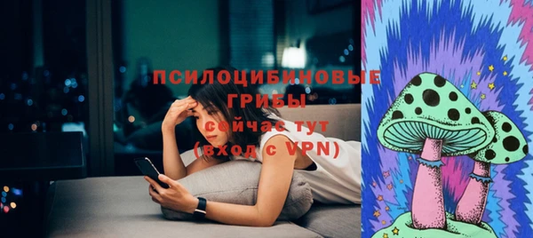 каннабис Богданович