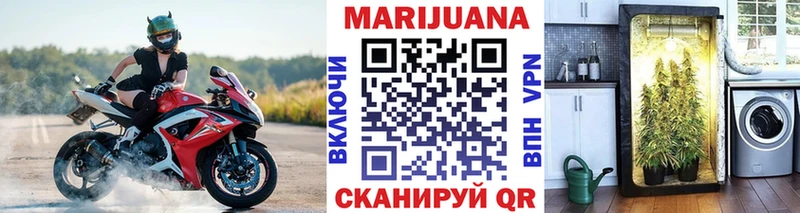 наркотики  Венёв  Марихуана конопля 